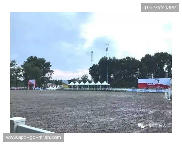 未来之星：新人连续后场得分30+，惊艳全场！，未来之星后一句