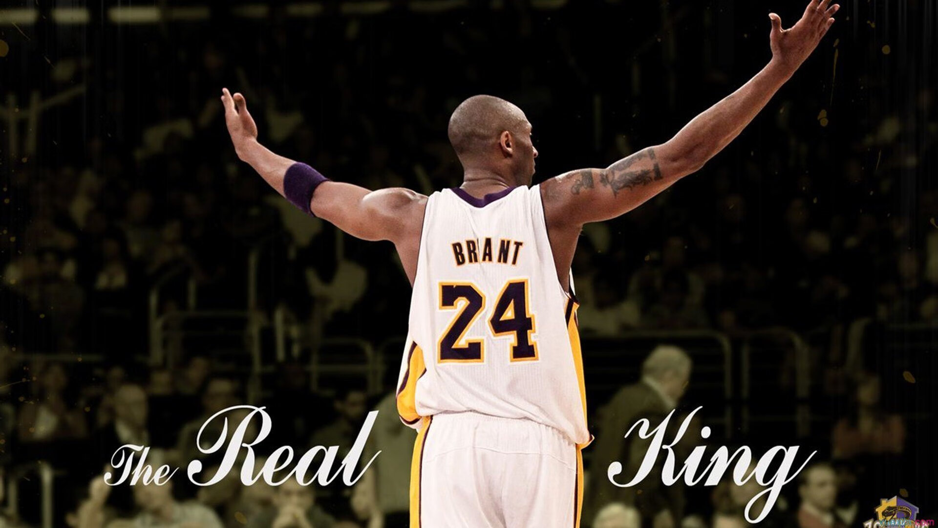 中国篮球的未来由梦想主宰,中国篮球的未来发展走向